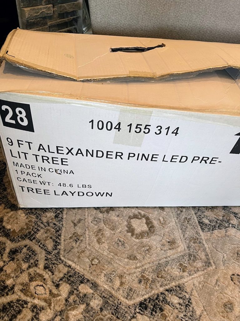 old tree