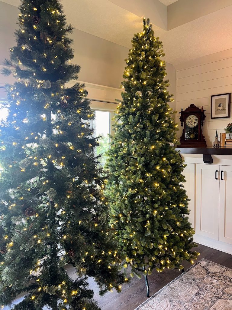 King of Christmas Royal Fir Slim- shop for your dream Christmas tree