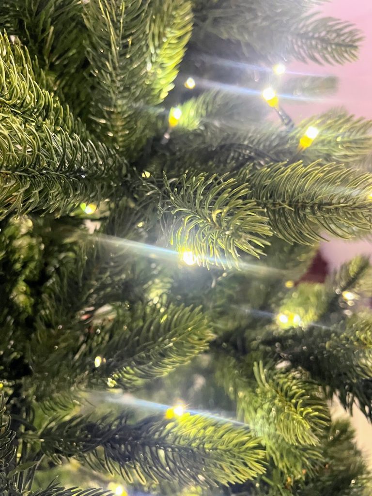 King of Christmas Royal Fir Slim, shop for your dream Christmas tree