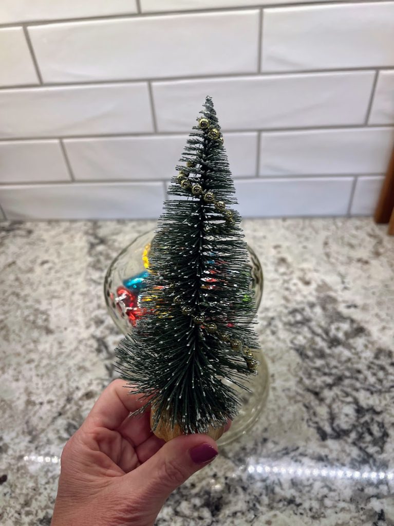 Bottle brush tree