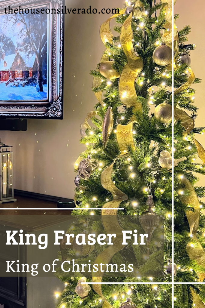 King Fraser Fir King of Christmas
